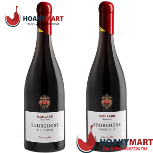 RƯỢU MOILLARD BOURGOGNE PINOT NOIR ELEVE EN FUTS