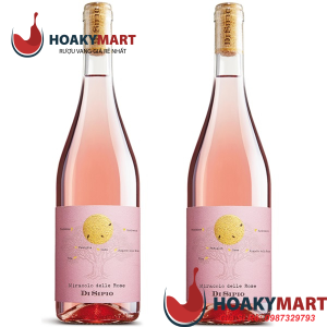 VANG HỒNG Ý DI SIPIO MIRACOLO DELLE ROSE RẺ QUÁ