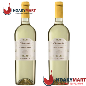 RƯỢU VANG Ý CARAMIA CHARDONNAY CANTELE - CỰC RẺ