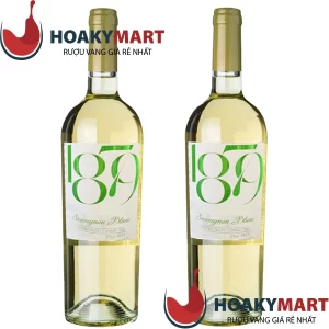 VANG TRẮNG CHILE 1879 SAUVIGNON BLANC - GIÁ ÊM