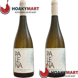 VANG CHILE PALENA SAUVIGNON BLANC =>GIÁ RẺ TỐT