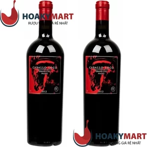 VANG CHILE VALDIVIESO CABALLO LOCO GRAND CRU MAIPO