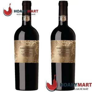 VANG Ý TERRA GRANDE PUGLIA ROSSO APPASSIMENTO