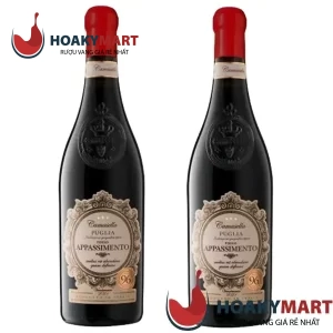 VANG Ý CAMASELLA  APPASSIMENTO PUGLIA - GIÁ TỐT