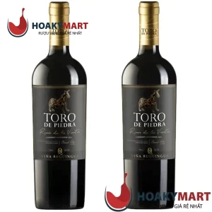 VANG CHILE TORO DE PIEDRA RINCON DE LOS VIENTOS