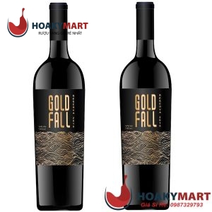VANG CHILE GOLD FALL RESERVA CABERNET SAUVIGNON