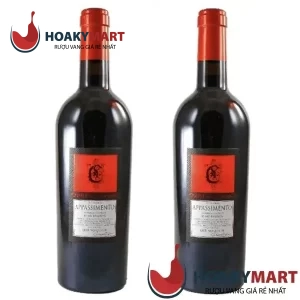 VANG Ý APPASSIMENTO NEGROAMARO PASSITO SALENTO