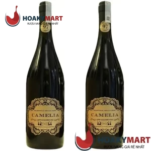 RƯỢU VANG Ý CAMELIA APPASSIMENTO RẺ NHẤT