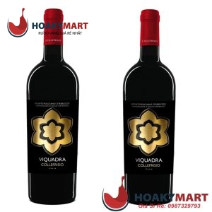 VANG Ý CF COLLEFRISIO VIQUADRA MONTEPULCIANO D'ABRUZZO