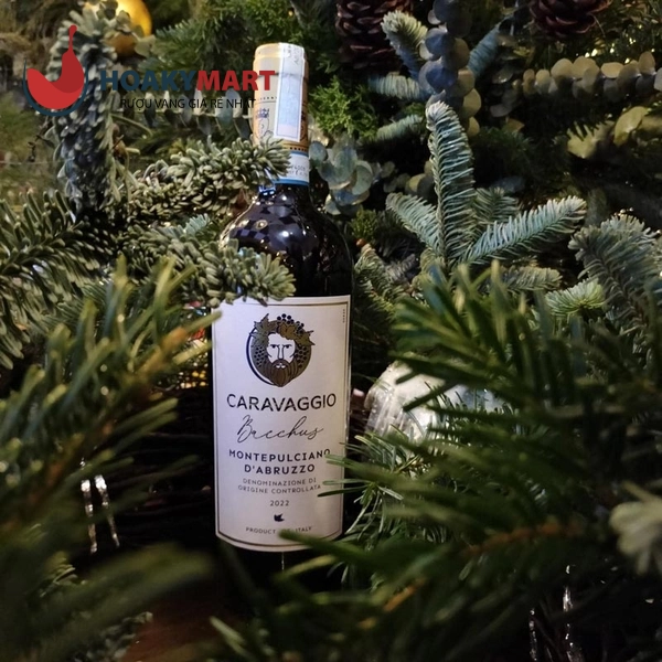 VANG Ý CARAVAGGIO BACCHUS MONTEPULCIANO D'ABRUZZO