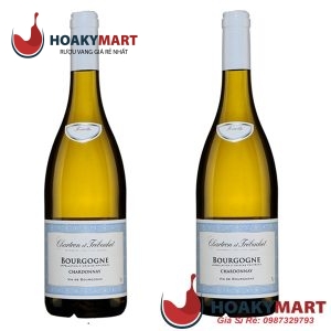 VANG TRẮNG CHARTRON ET TRÉBUCHET BOURGOGNE CHARDONNAY