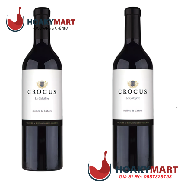 VANG PHÁP CROCUS LE CALCIFERE LIMITED-RẺ NHẤT