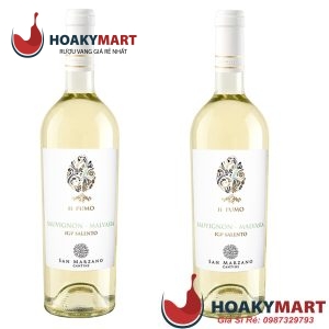 VANG Ý IL PUMO SAUVIGNON MALVASIA