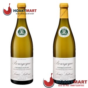 VANG TRẮNG LOUIS LATOUR BOURGOGNE CHARDONNAY