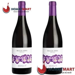 VANG Ý BUCCIA NERA MERLOT TOSCANA - RẺ NGON