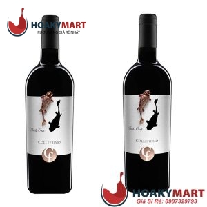 VANG Ý CÁ CHÉP VÀNG CF IN & OUT COLLEFRISIO SIÊU RẺ