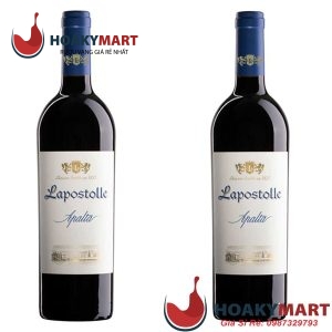 VANG CHILE LAPOSTOLLE APALTA