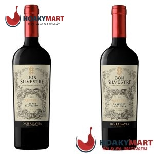 VANG CHILE DON SILVESTRE RESERVA OCHAGAVIA