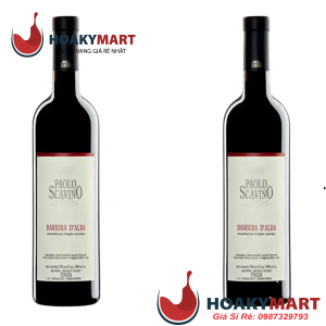 VANG Ý PAOLO SCAVINO BARBERA D’ALBA DOC