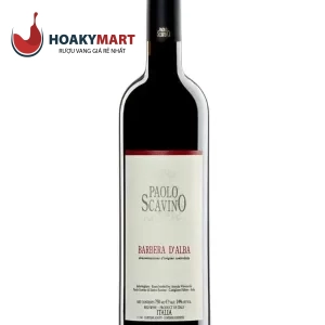 VANG Ý PAOLO SCAVINO BARBERA D’ALBA DOC