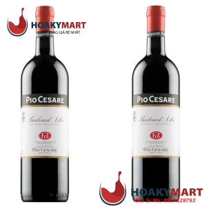 VANG Ý PIO CESARE BARBERA D'ALBA DOC