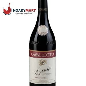 VANG Ý CAVALLOTTO BRICCO BOSCHIS BAROLO