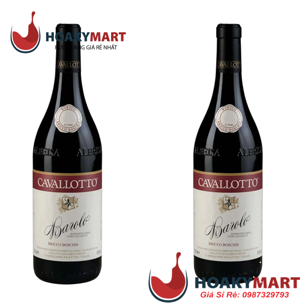VANG Ý CAVALLOTTO BRICCO BOSCHIS BAROLO