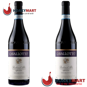 VANG Ý CAVALLOTTO VIGNA CUCULO BARBERA D'ALBA SUPERIORE