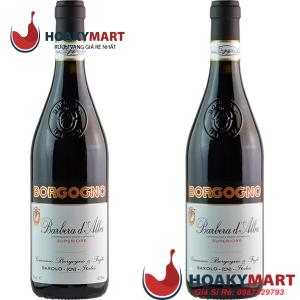 VANG Ý GIACOMO BORGOGNO & FIGLI SUPERIORE BARBERA D'ALBA