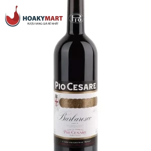 VANG Ý PIO CESARE BARBARESCO