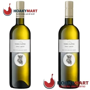 VANG Ý TERRA ALPINA PINOT GRIGIO VIGNETI DELLE DOLOMITI