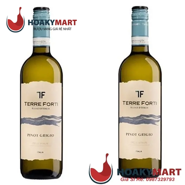 VANG Ý TERRE FORTI PINOT GRIGIO DELLE VENEZIE