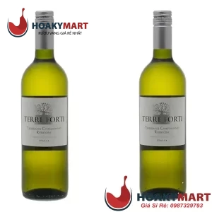 VANG Ý TERRE FORTI TREBBIANO CHARDONNAY CỰC RẺ