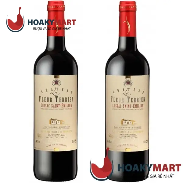 RƯỢU VANG PHÁP CHATEAU FLEUR TERRIEN CỰC RẺ