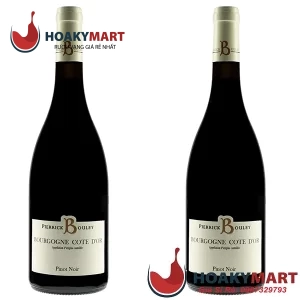 PIERRICK BOULEY BOURGOGNE COTE D'OR PINOT NOIR RẺ