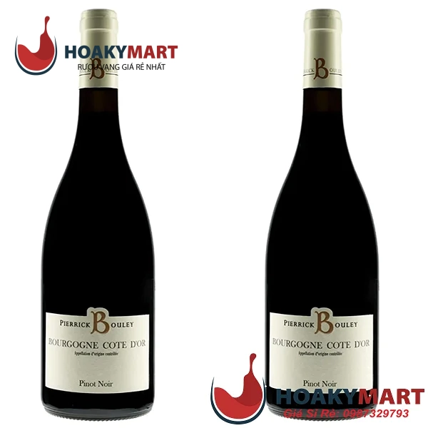 PIERRICK BOULEY BOURGOGNE COTE D'OR PINOT NOIR RẺ