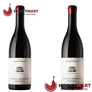 VANG PHÁP DOMAINE CHANDON DE BRIAILLES SAVIGNY-LÈS-BEAUNE 1ER CRU AUX FOURNEAUX