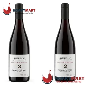 VANG PHÁP DOMAINE SYLVAIN MOREY SANTENAY 1ER CRU GRAND CLOS ROUSSEAU