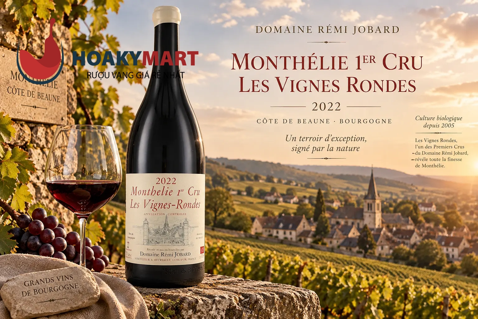 VANG PHÁP DOMAINE RÉMI JOBARD MONTHÉLIE 1ER CRU LES VIGNES RONDES