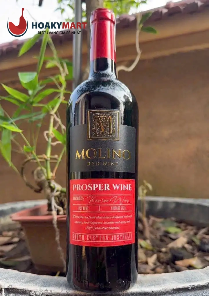 RƯỢU VANG ÚC MOLINO PROSPER WINE GIÁ RẺ