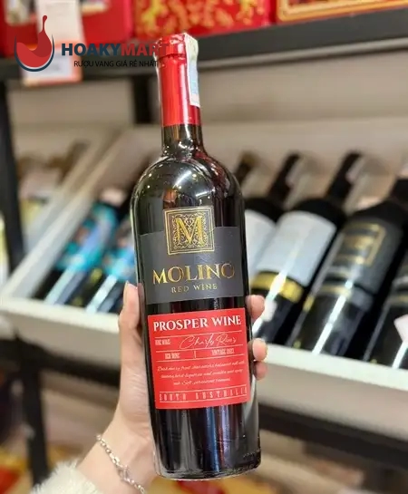 RƯỢU VANG ÚC MOLINO PROSPER WINE GIÁ RẺ