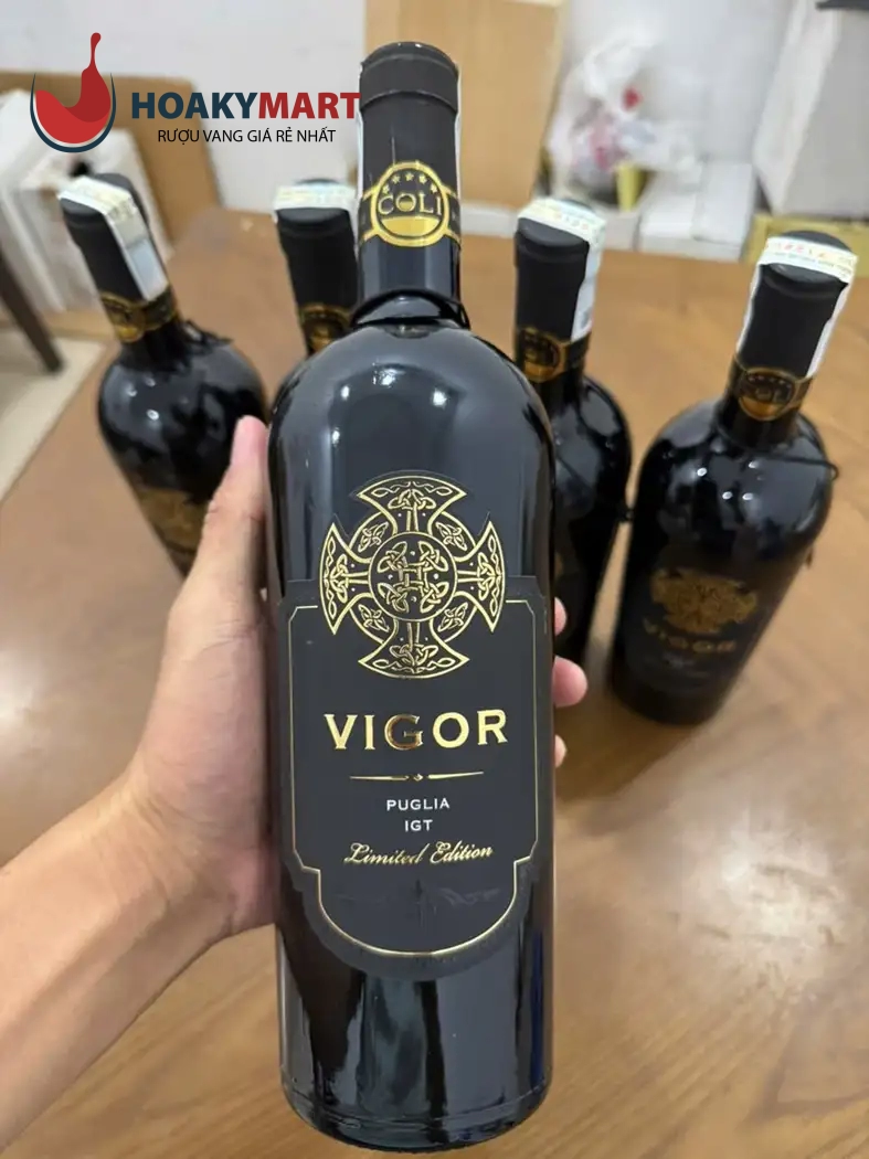 RƯỢU VANG Ý VIGOR PUGLIA – GIÁ RẺ RƯỢU NGON
